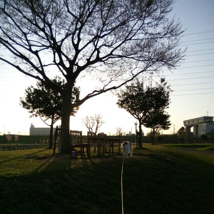 4f131dee 82fb 4356 9415 502d6129db95 1522064282345