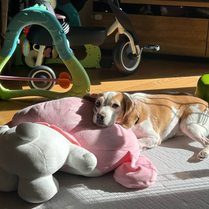 4f135212 a712 4d08 99dd 78003f83c1f6 1733186484005