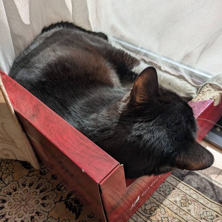 4f135bb0 651b 4327 9f69 78c4146163b8 1771129698896