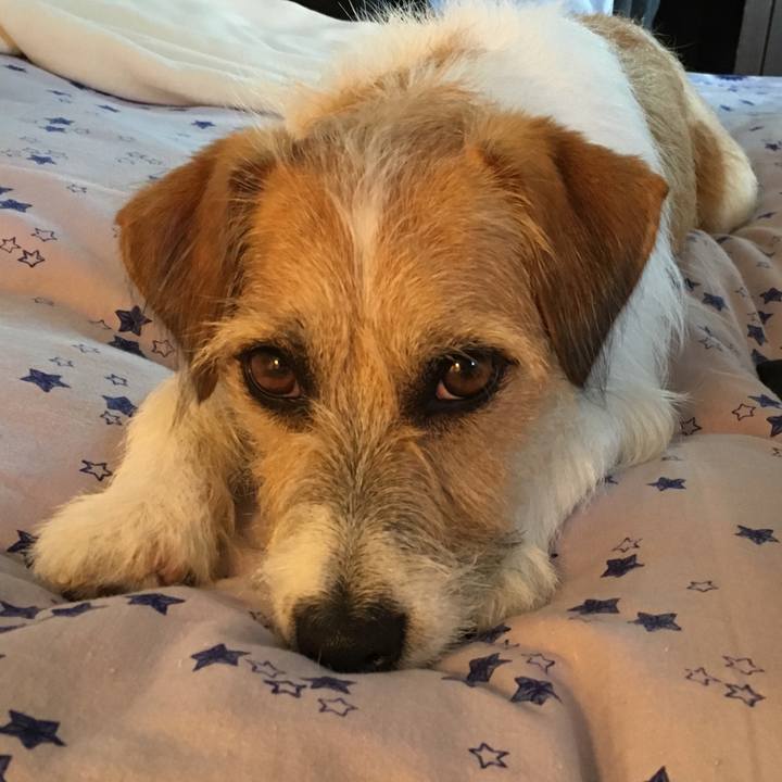 4f136bbe 1447 474b 9c50 027142012d7a 1538746899241