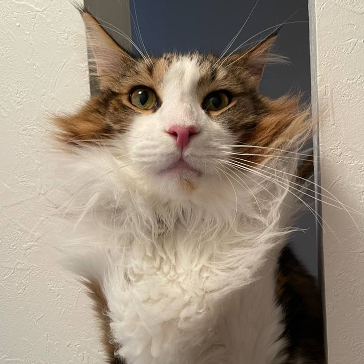 4f136ea5 120b 467c a709 530d9e196cc6 1658408840871