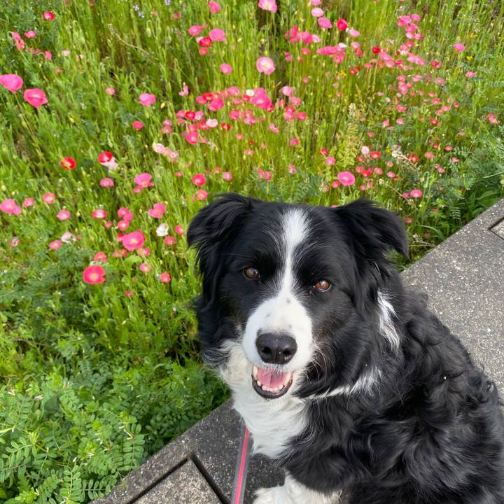 4f137d7e 0f6a 484c b02c d0feb5999742 1619138914580