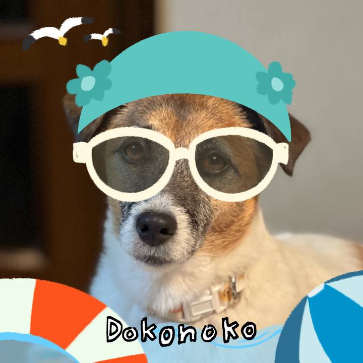 4f13a6f6 4f67 4392 aea6 ea17e01b734d 1723205759583