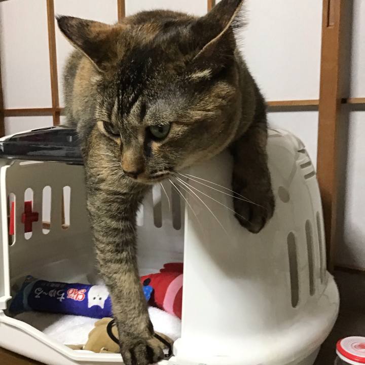 4f13c3c7 889a 492d a334 5fd74b75a48c 1686228578815