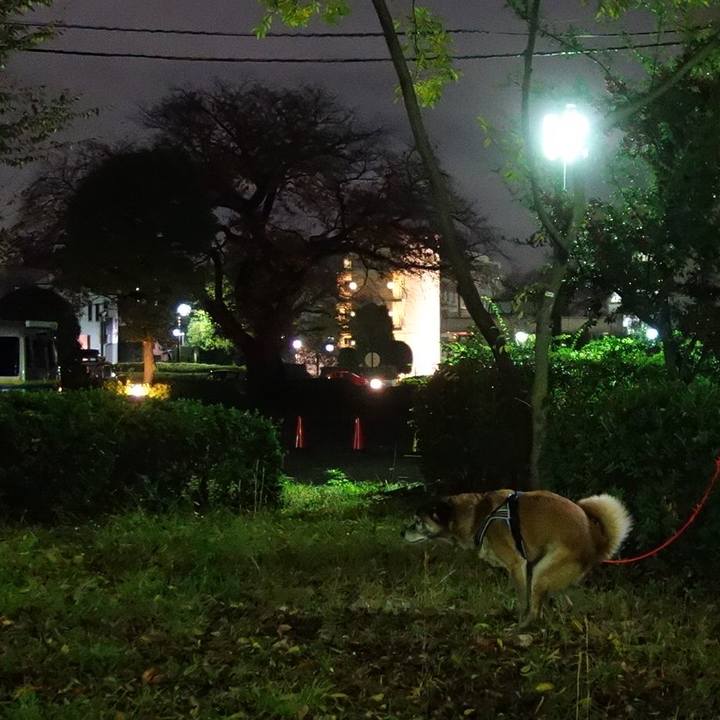 4f13dc31 0200 49a9 9df7 e1afb25598bd 1575280691980