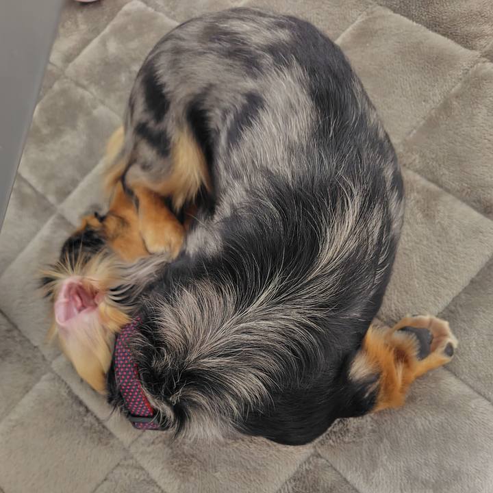 4f13dd21 6b30 4285 b1ee 305407ba7b19 1732271433160