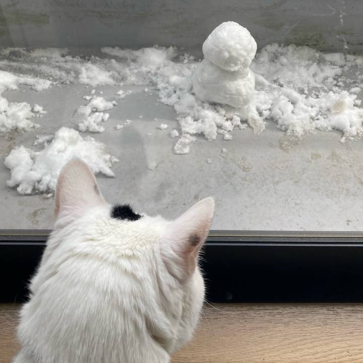 4f13e83c 9ceb 431b 9749 11a1a1d4dc32 1770608515273