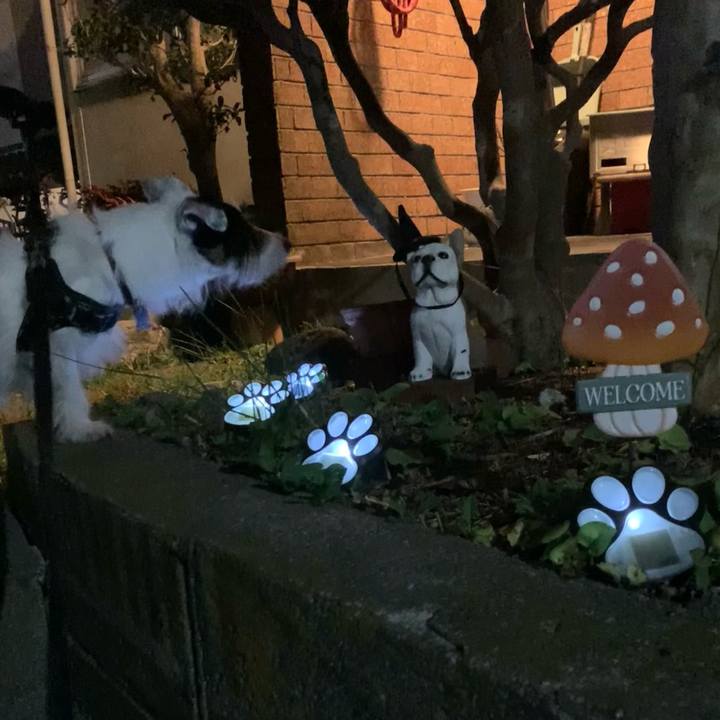 4f14879f be4c 4e09 ad5e a187a109d24e 1728651387733