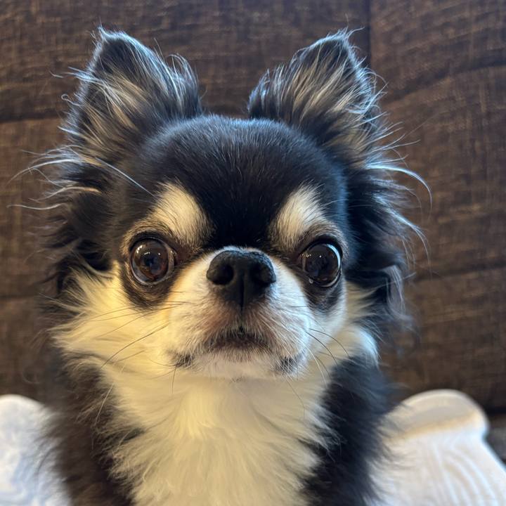 4f149f04 4489 41be 92c2 d50849c6de50 1760311396660