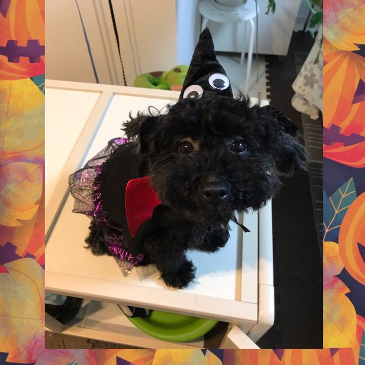 4f14ad50 50e0 4e15 a541 87fff46a51b7 1540957479937