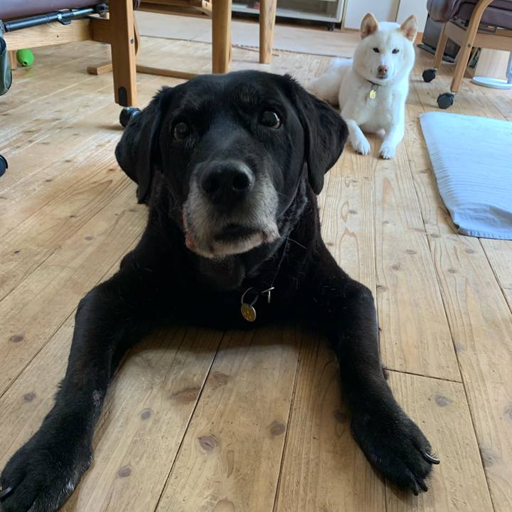 4f14ef75 8bd0 43ce 9765 469fdd41a0d6 1620010822445