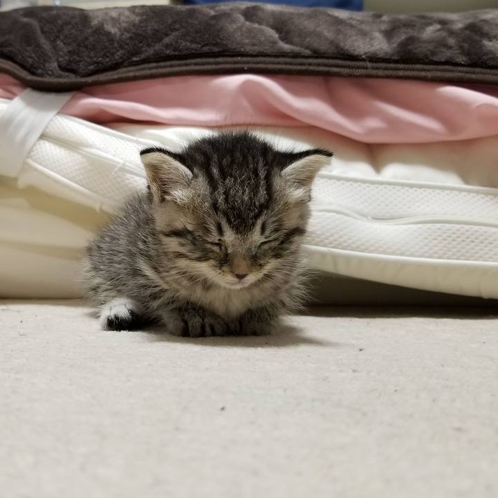 4f154a0c a1f1 4b3f a917 3e9ed277ccda 1660173893782