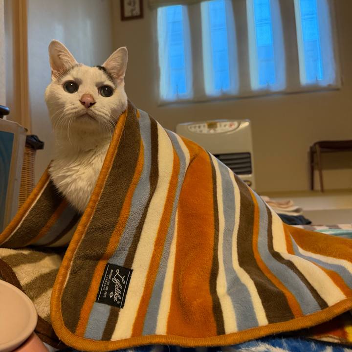 4f156679 8e42 4383 8e6f e66f3b59f6ff 1767053937950