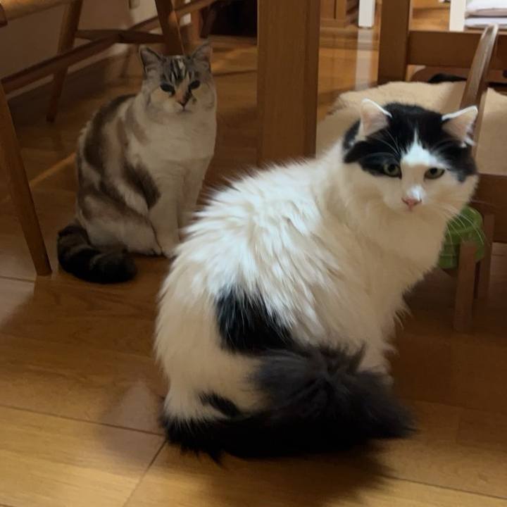 4f1566a8 bea9 4476 b7a7 96b2cf8e9f6b 1767275937519