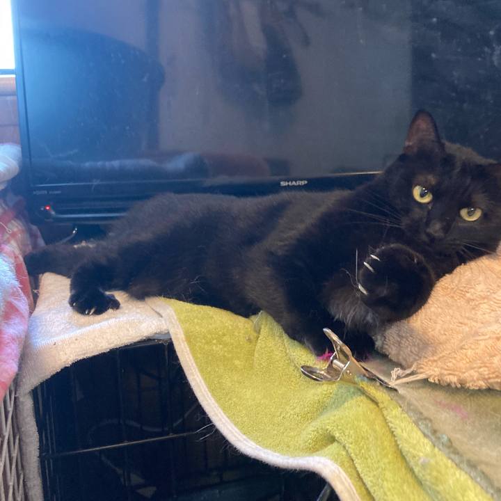 4f15d063 c977 4818 ac76 f75d4429d83a 1722033066718