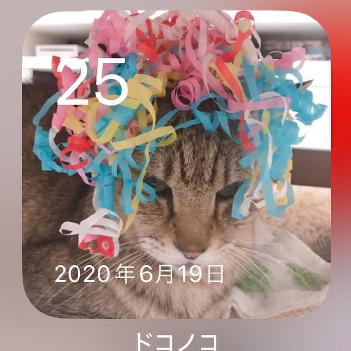 4f15f9b7 f8f8 4d06 9167 f30d4a79ef8c 1719298213613