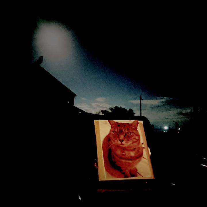 4f161c32 1126 4cd5 bfb0 c7e9f3629717 1601639633021