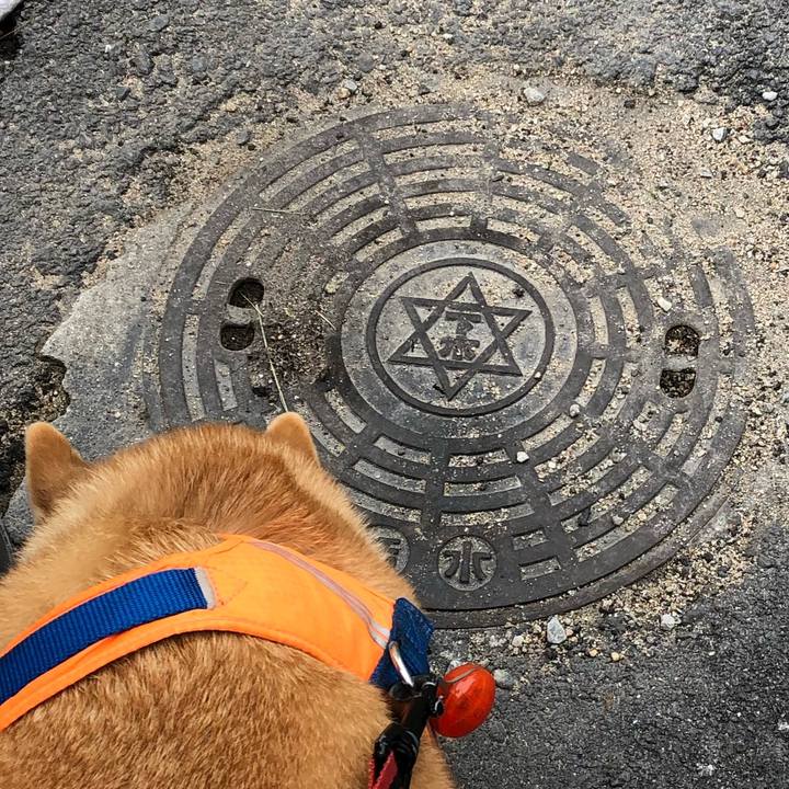 4f165467 ed17 4b8b a265 5c0f6a8c6cd1 1581645721369