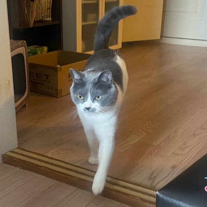 4f168789 a26e 4ffe 998e 69c912dfba60 1708134562638