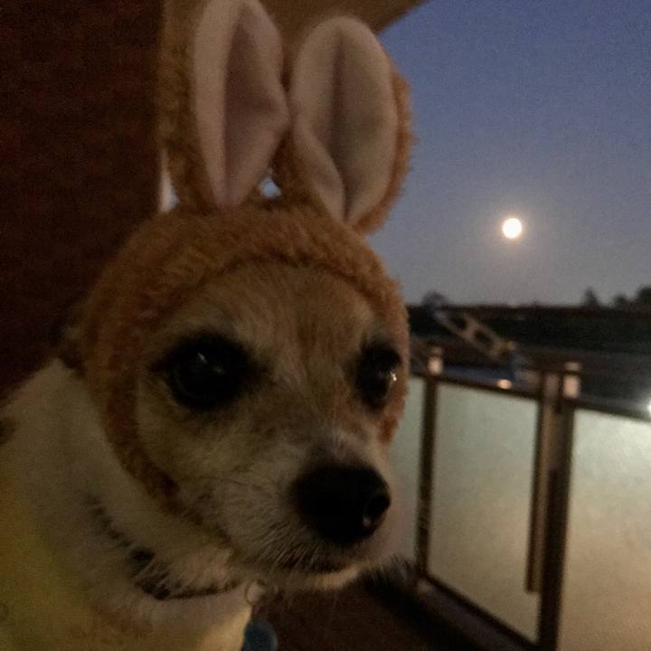 4f1695d5 cee3 4cdb bb67 505dc4587c70 1601546403694