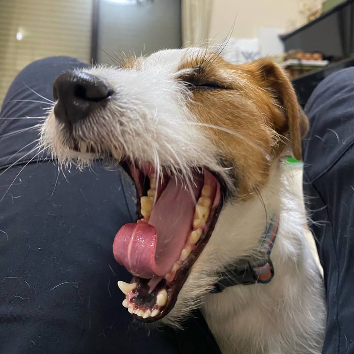 4f16c491 ea66 4558 af08 095779835f5e 1766314559696