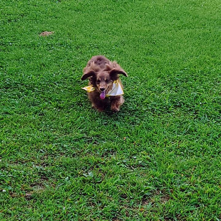 4f175fea 8755 43c7 a2ff 4a884560e8b3 1721438263568