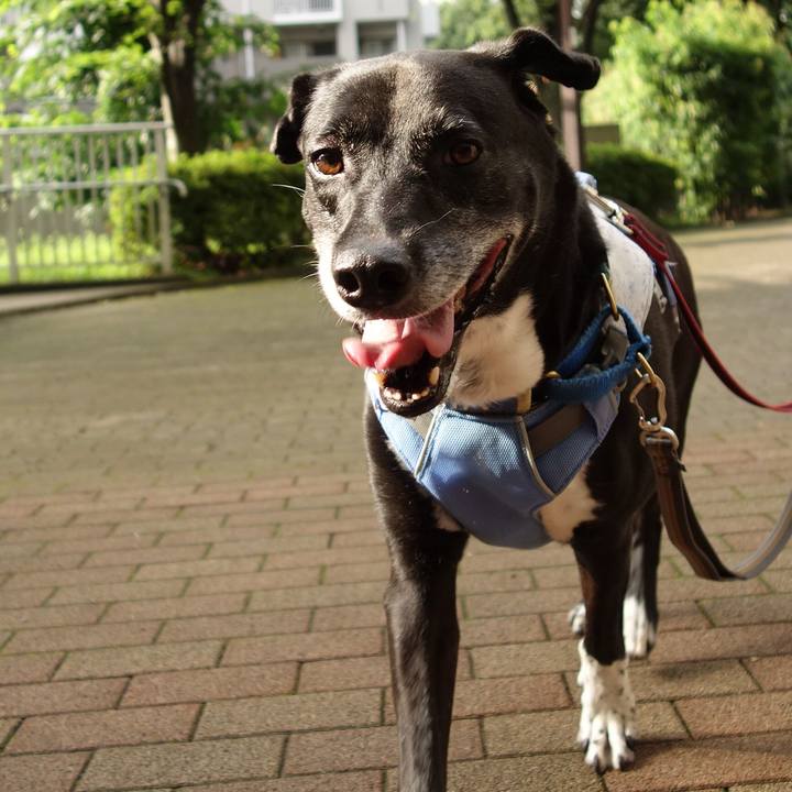 4f179e23 a0fd 4ad5 a8af 4877718affa9 1721521634706