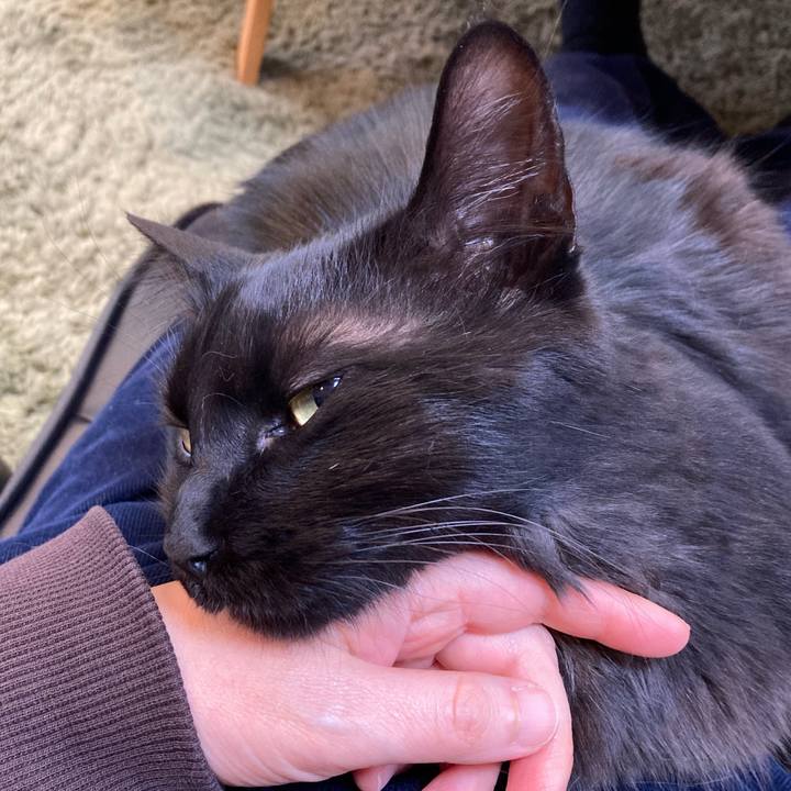 4f17a1b3 4e92 4039 8cc9 c4f03e5d419d 1742370339923