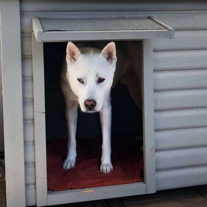 4f17a776 584f 4fd0 bed5 ed4f357d616a 1584612379093