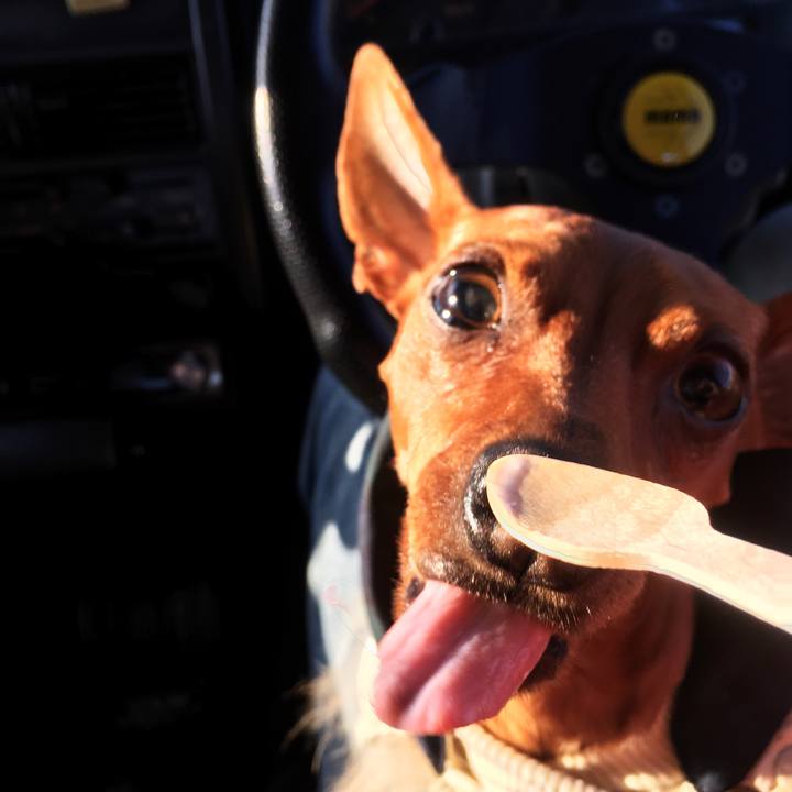 4f17c72f a4fb 427c 9cab 7c0306c92106 1550990585280