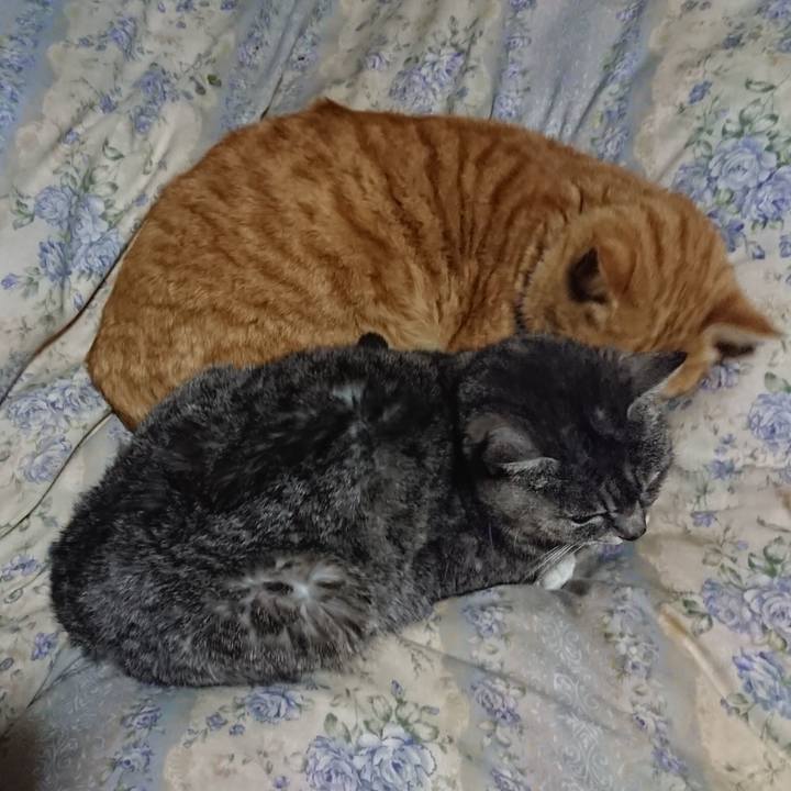 4f17cb38 8dec 43b8 a2f2 f1b98ba4d3f6 1582287337740