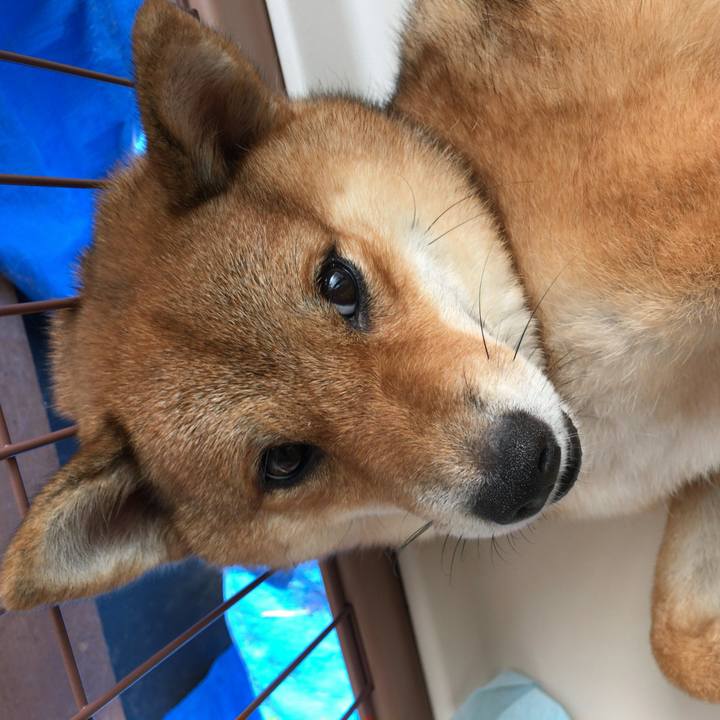 4f182400 d617 40ef b4a8 1bd721dbb54c 1531779165647