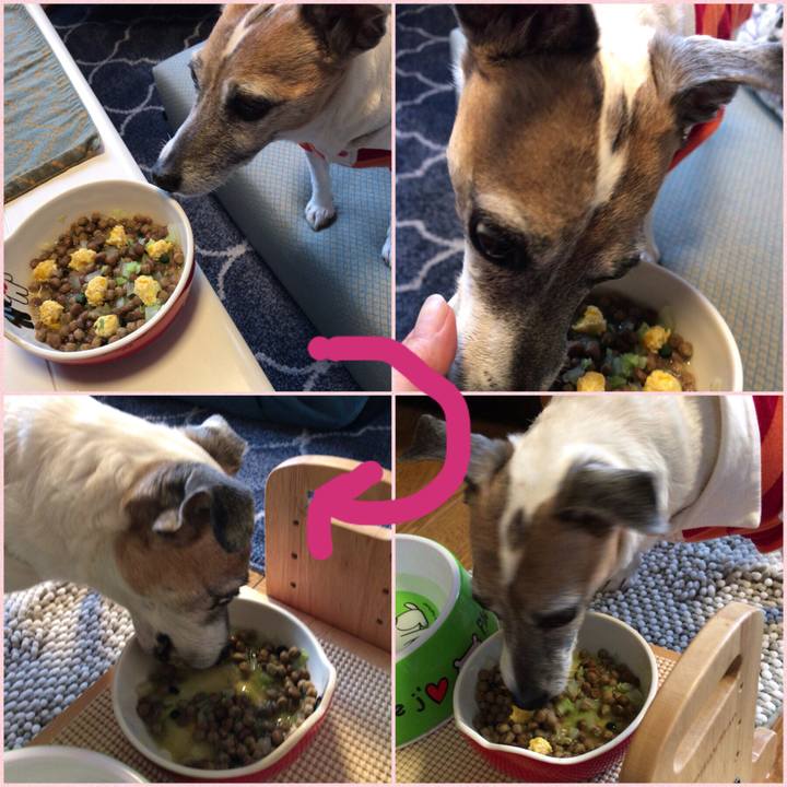 4f184fa9 e014 4d02 a66a 7149ec40f31b 1523924027328