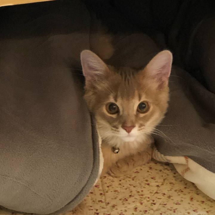 4f1851af 5bcf 40b5 b2af 58c3c125e237 1546698325832