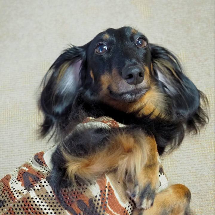 4f187594 85ac 49d1 9772 bafd22ab4e86 1533521317001