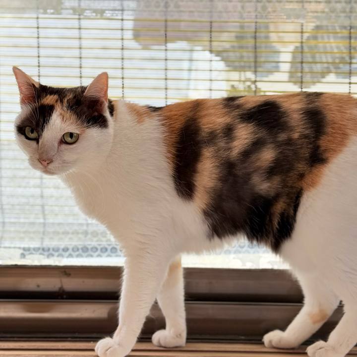 4f188c53 caff 4275 b727 3a3ec16d1cda 1755397365638