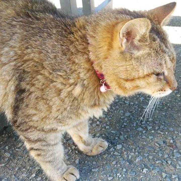 4f188d5d 454d 4089 a441 a4c66d442adc 1632224351875