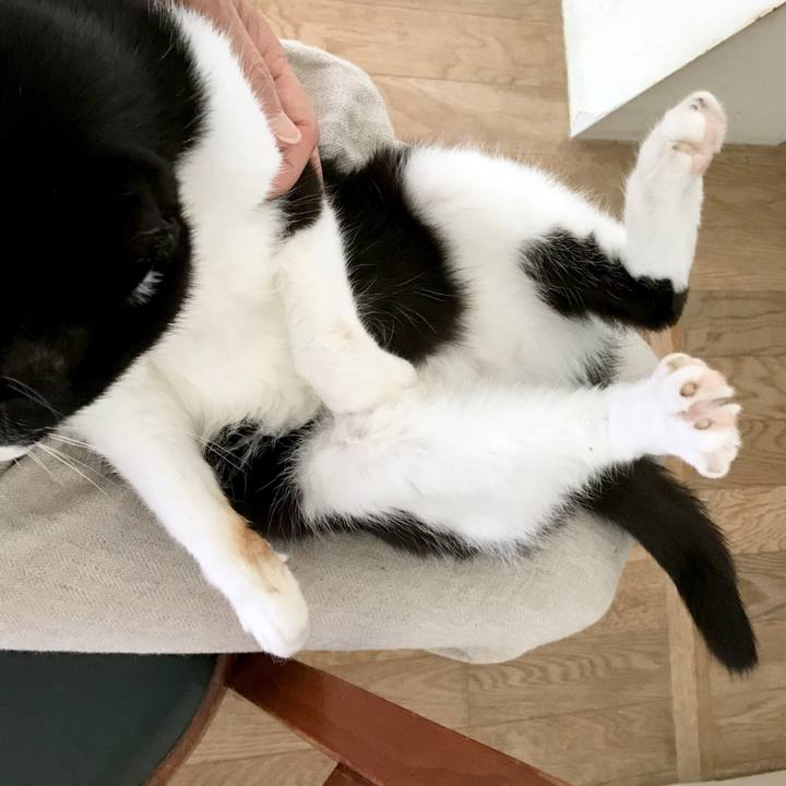 4f188d76 d258 4248 bde4 6900aa0b4ad4 1566545925930