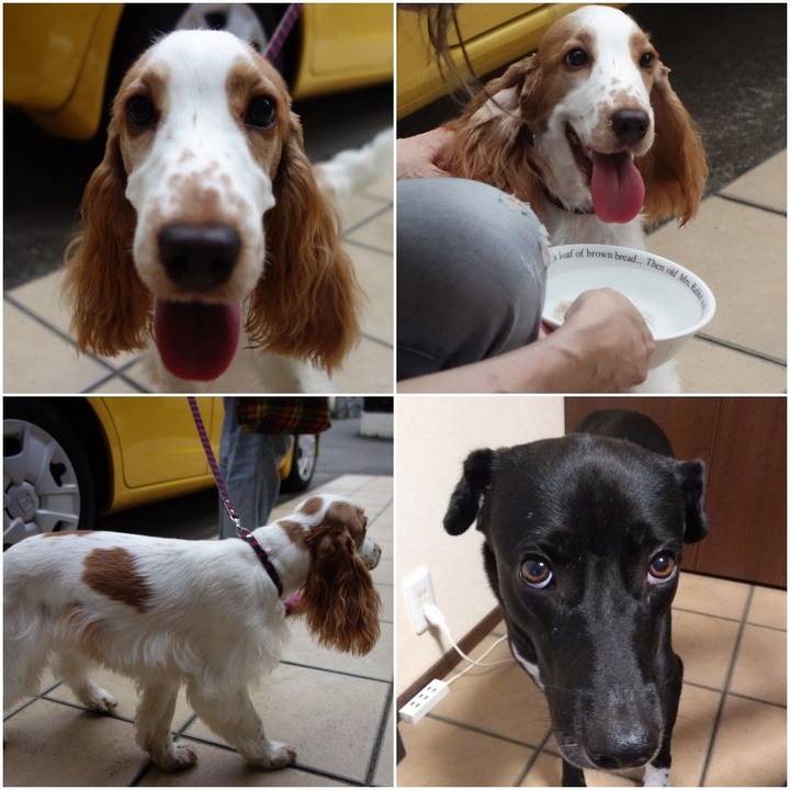 4f188ee8 d5bb 4d18 84a1 e4189a94a400 1598956297422