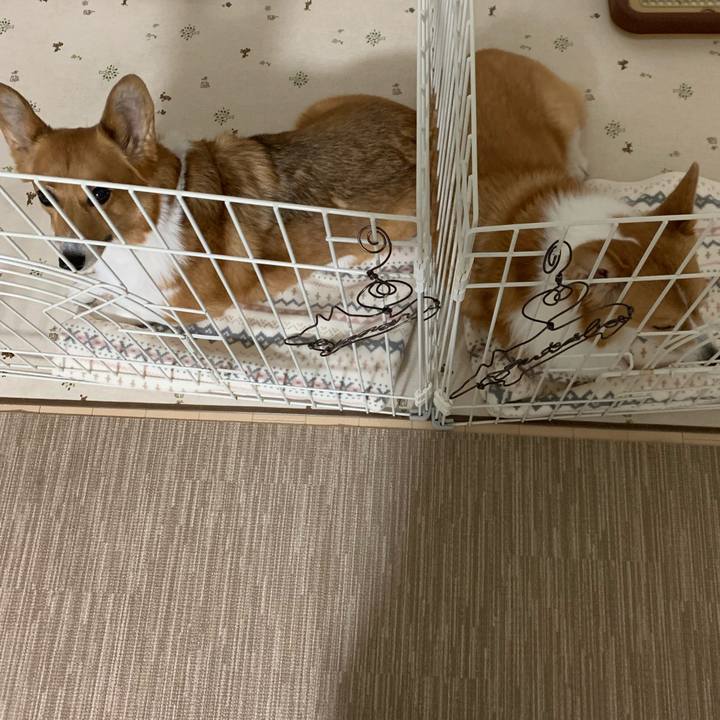 4f1893d8 fbda 4c3b 97ca c159058efcfc 1574821177739