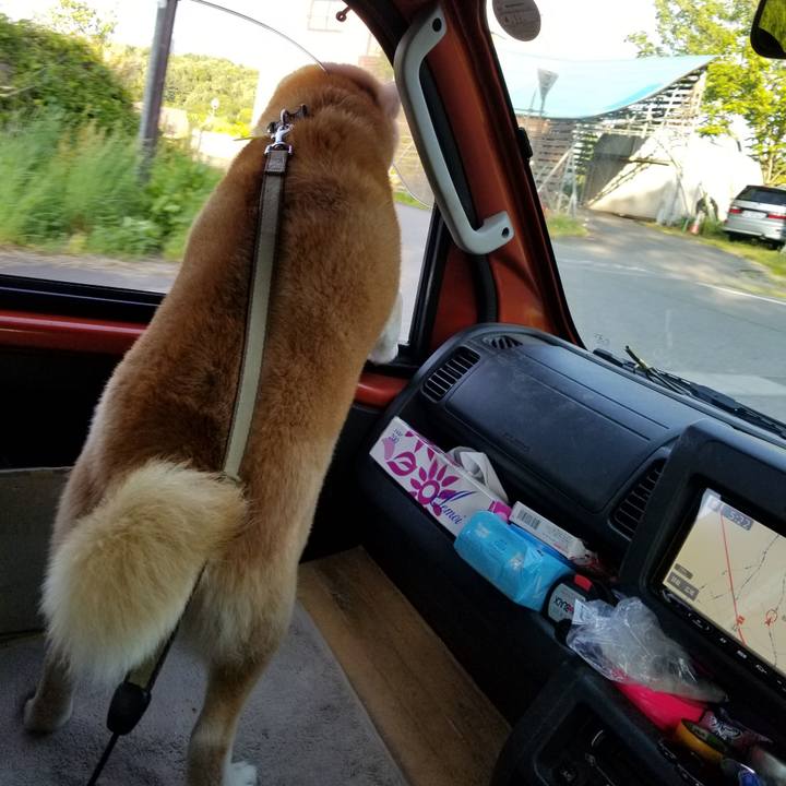 4f18ab24 0870 467f 982d ba24b53b5599 1653383769687