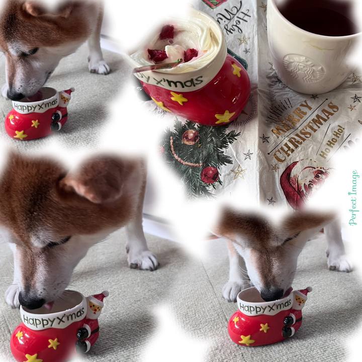 4f18d003 5a82 431b 9442 e21dd6caa71a 1671944605816