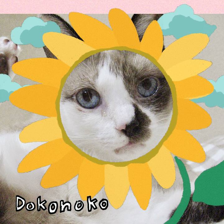 4f1949b5 436d 4a96 b762 b8e7bd247962 1723547992487