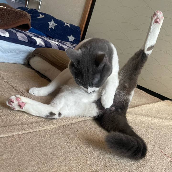 4f19954c f168 4049 8932 bc88bd2a1262 1668667715169