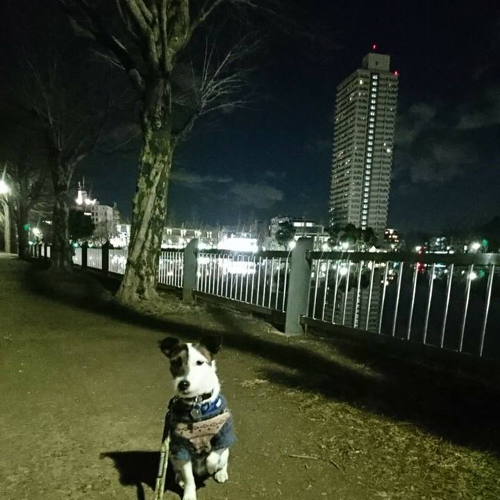 4f19a675 c08f 454e a635 f962e3079a5b 1517918550312