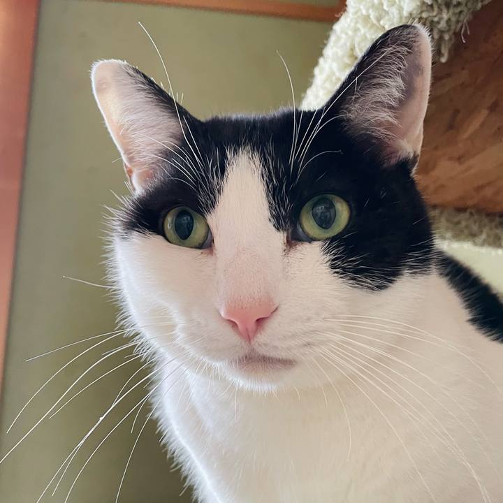 4f19edb4 aacd 4929 9d79 e75f72dc82ef 1644892570393