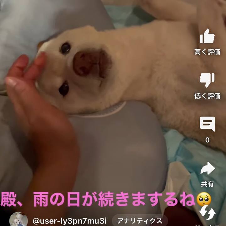 4f1a499b 9829 4906 ae40 94aab7666e2f 1680762328920