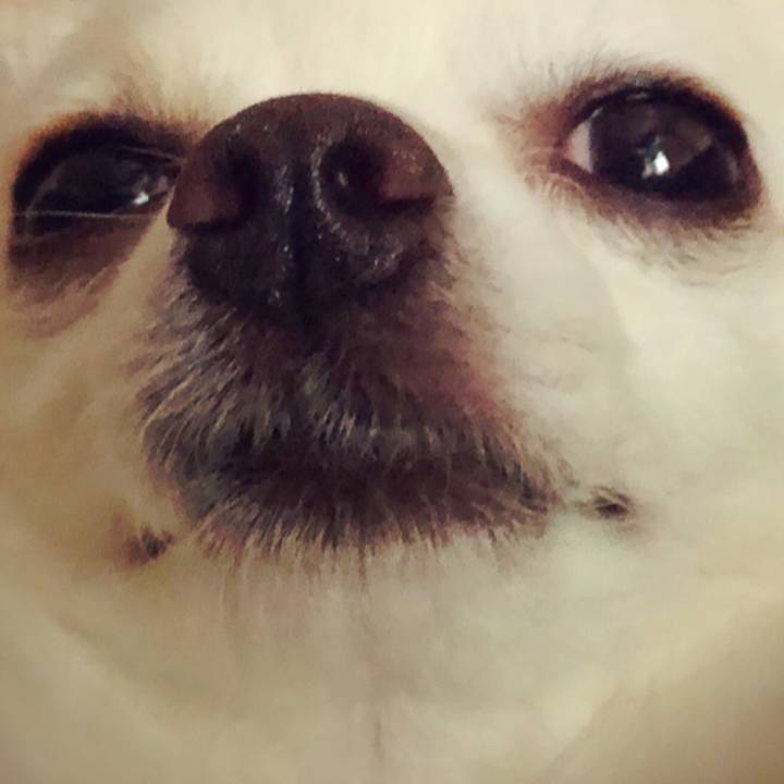 4f1a54b9 253d 4972 a767 1f33079e41d1 1555661864188