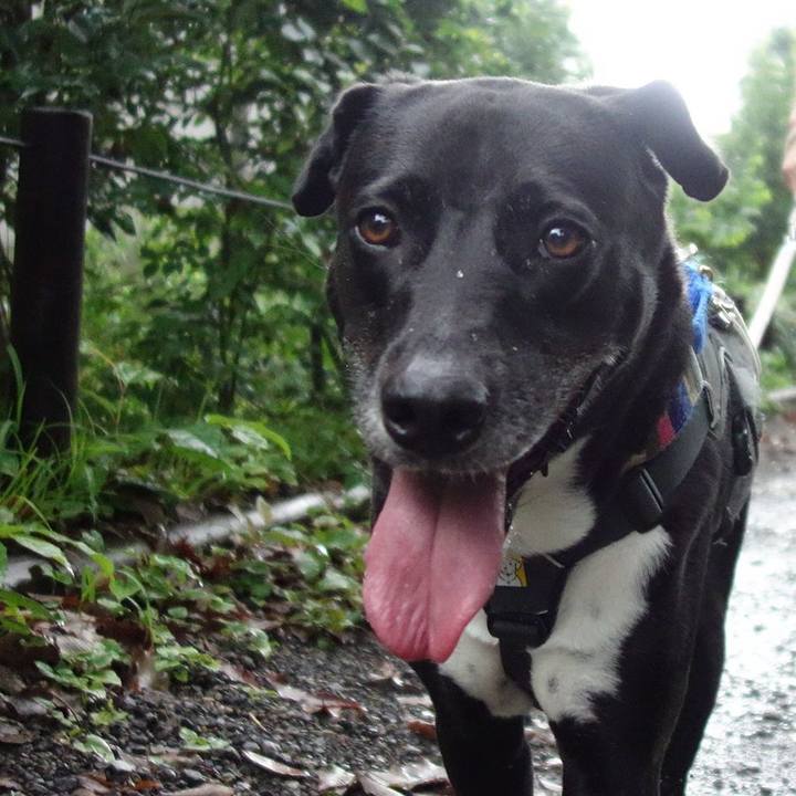 4f1a70e1 1abf 4d46 b38c 2ee772b49ff4 1658017882618