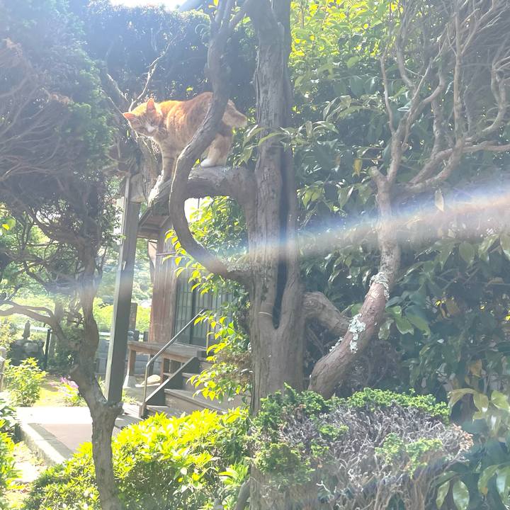 4f1a7750 5933 4390 9524 2ce22798aaf6 1746252885674